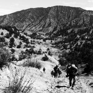 Cannabidiol (CBD) Treatment for Post-Traumatic Stress